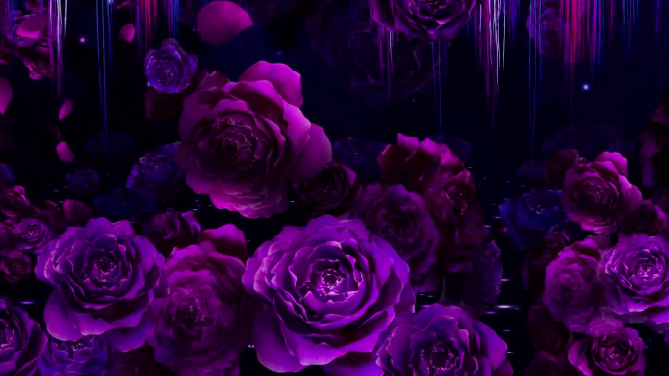 XH-紫色花031