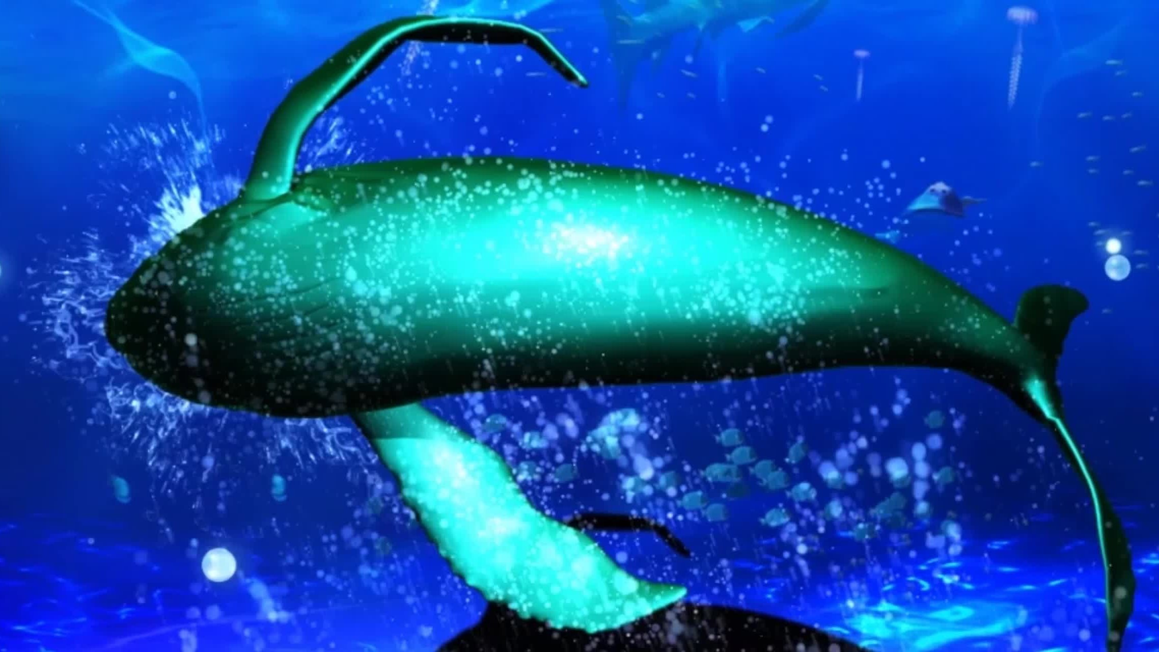 HY-海底鲸鱼001