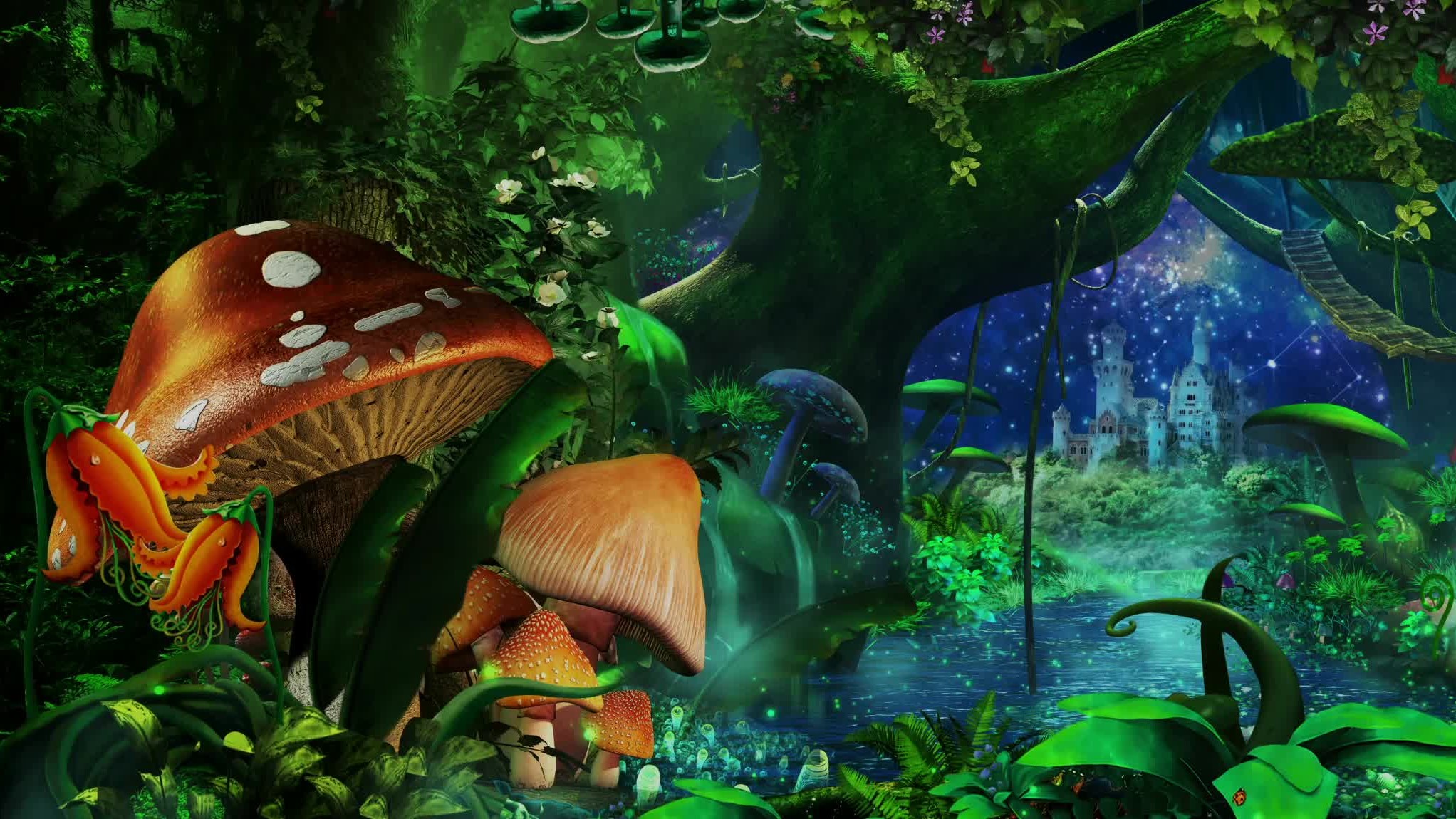 SL-蘑菇森林 013（01）