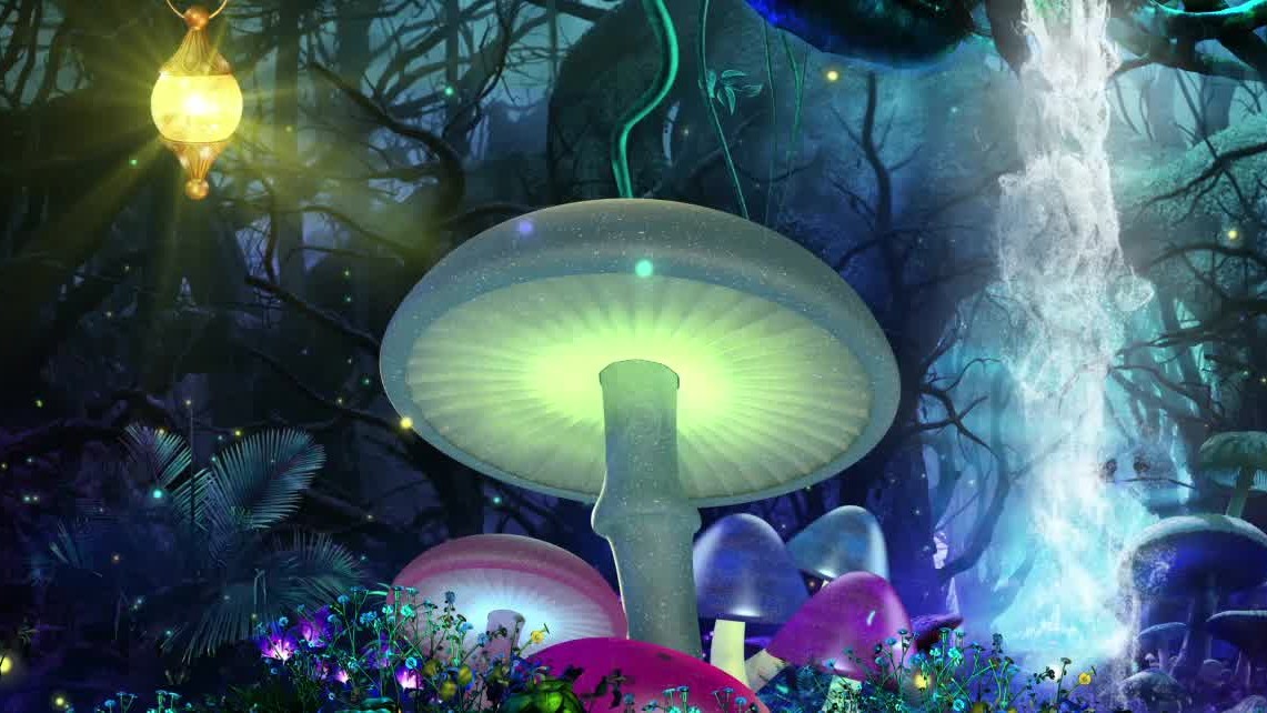 SL-蘑菇森林 047