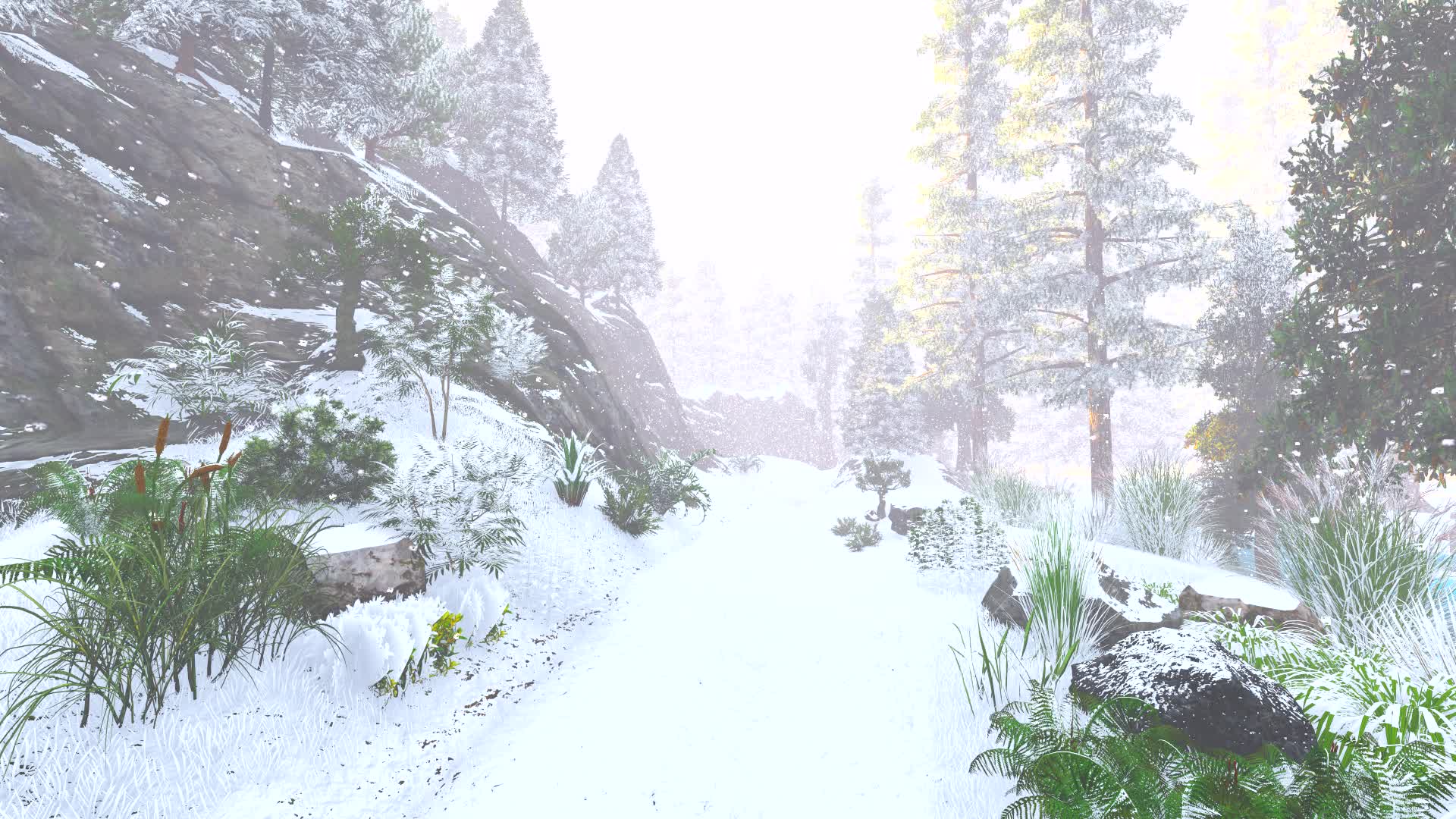 野外森林山路古道小径小路-雪景