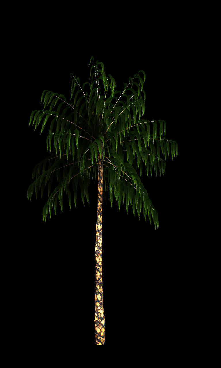 棕榈树通道素材