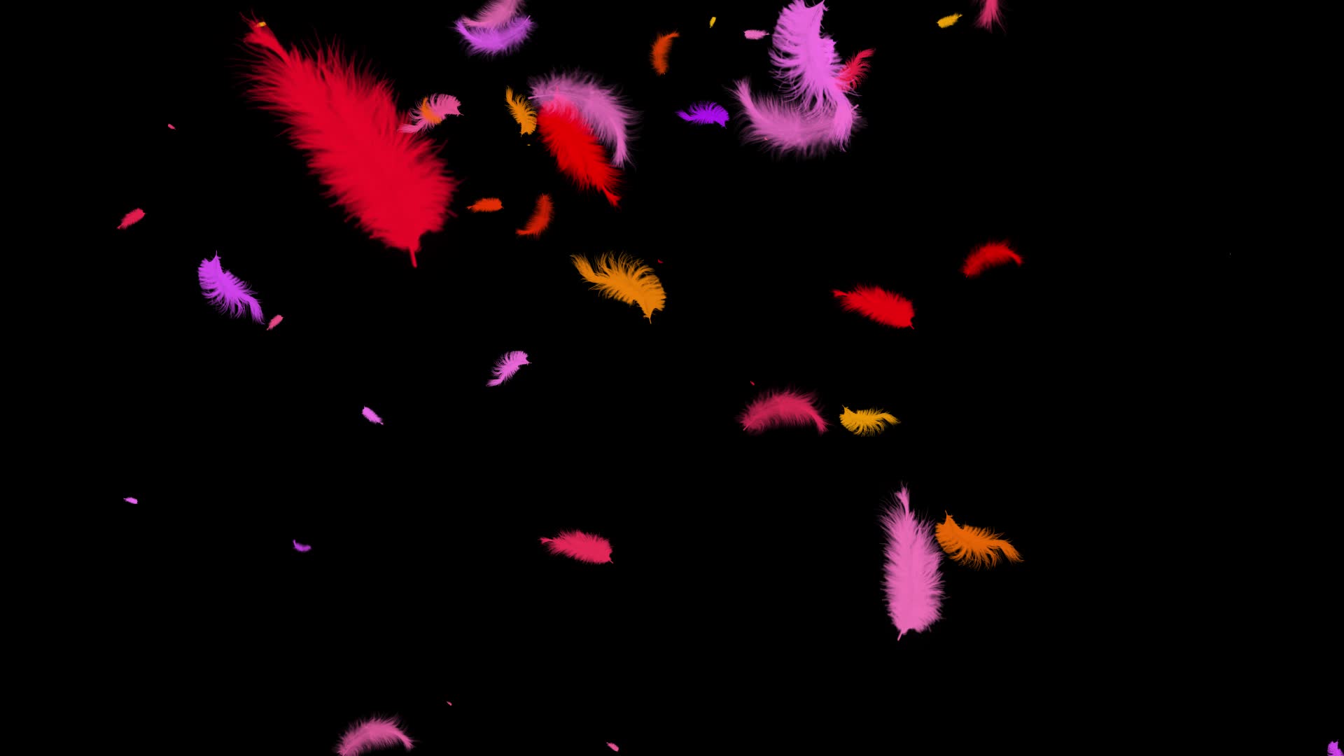 下载壁纸 鸟类, 女孩, 羽毛, 缋 免费为您的桌面分辨率的壁纸 2048x1256 — 图片 №569999